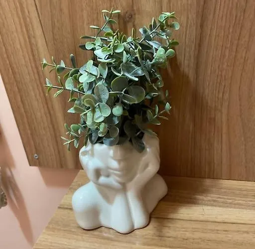 Central Pulse וארנה