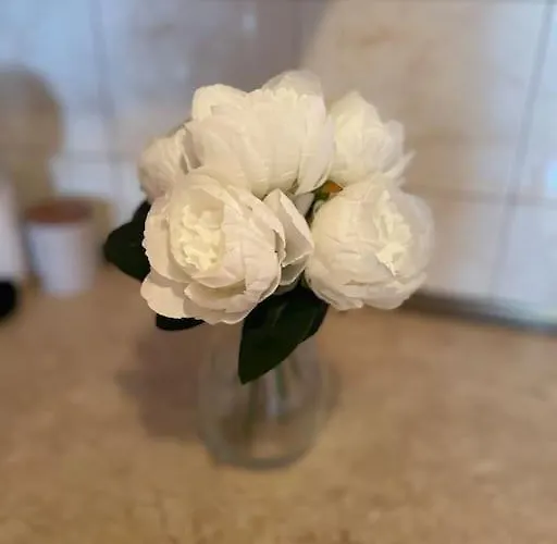 Central Pulse דירה וארנה